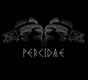 Photo de Percidae