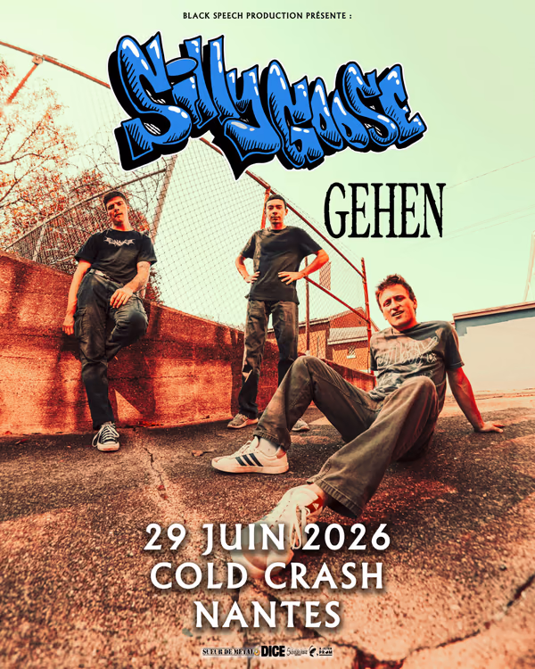 Affiche de l'événement Silly Goose + Gehen